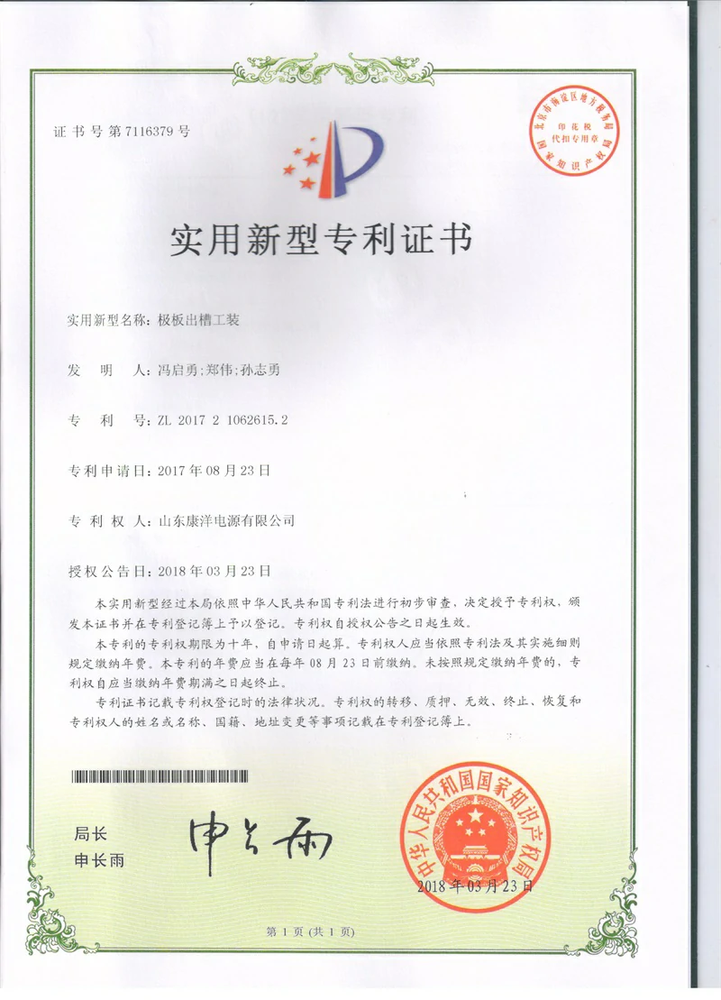 Patent certificate 8